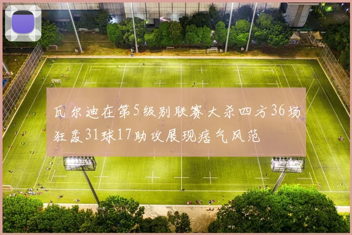 瓦尔迪在第5级别联赛大杀四方36场狂轰31球17助攻展现痞气风范