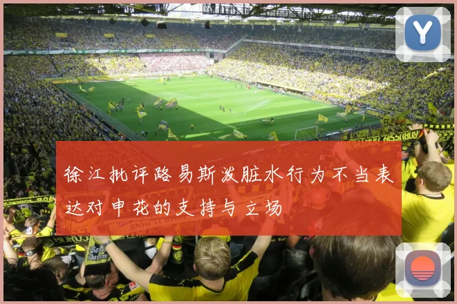 徐江批评路易斯泼脏水行为不当表达对申花的支持与立场