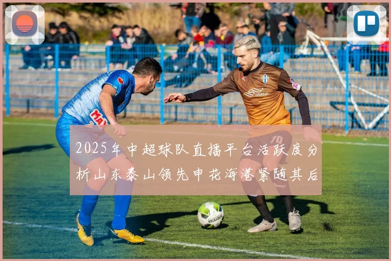 2025年中超球队直播平台活跃度分析山东泰山领先申花海港紧随其后